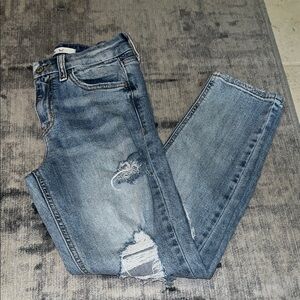 Buckle Willow and Root Women's Light Blue Distressed Skinny Jeans